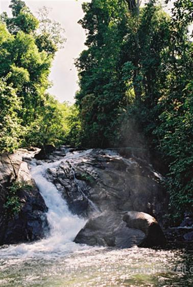 14 Thailand 2002 F1060033 Khao Lak Ausflug Elefantentrekking_478